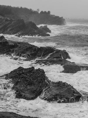 Simpson Beach | Shore Acres State Park Oregon, USA