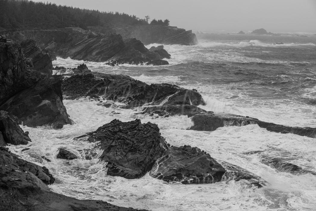 Simpson Beach | Shore Acres State Park Oregon, USA