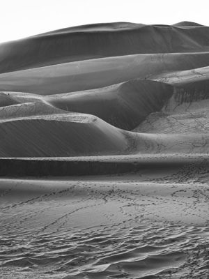 Great Sand Dunes | Great Sand Dunes National Park & Preserve Colorado, USA