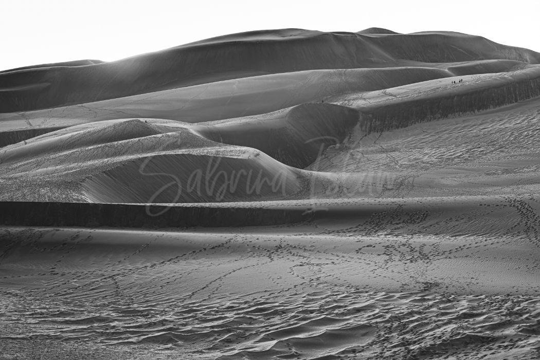 Great Sand Dunes | Great Sand Dunes National Park & Preserve Colorado, USA
