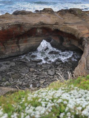 Devil’s Punch Bowl | Oregon Coast, USA
