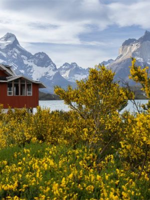 Lake Pehoé and Cuernos del Paine | Patagonia, Chile