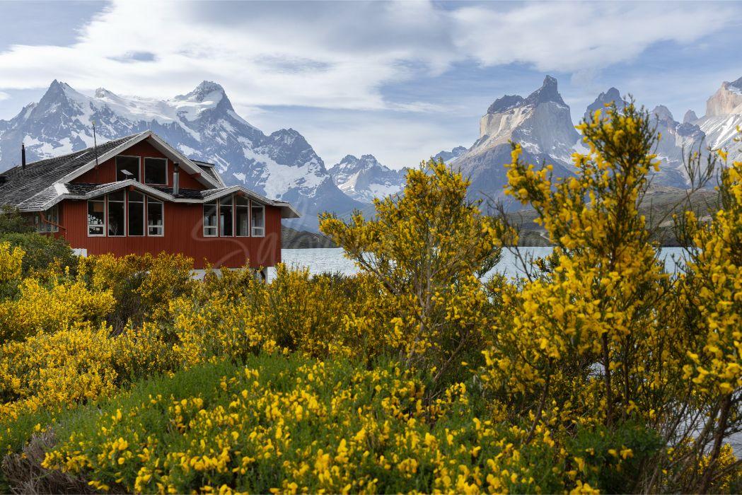 Lake Pehoé and Cuernos del Paine | Patagonia, Chile