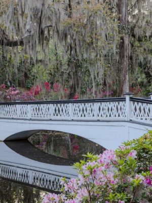 Bridge in Magnolia Plantation | Charleston, South Carolina, USA