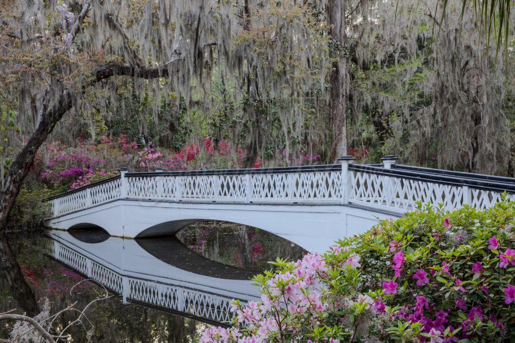 Bridge in Magnolia Plantation | Charleston, South Carolina, USA