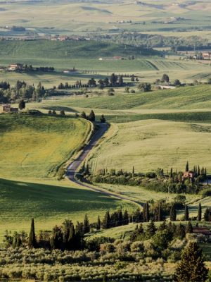 Tuscan Landscape | Val d’Orcia, Tuscany, Italy