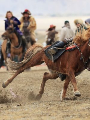 Golden Eagle Festival Riders | Sagsai Village Bayan-Ölgii, Mongolia