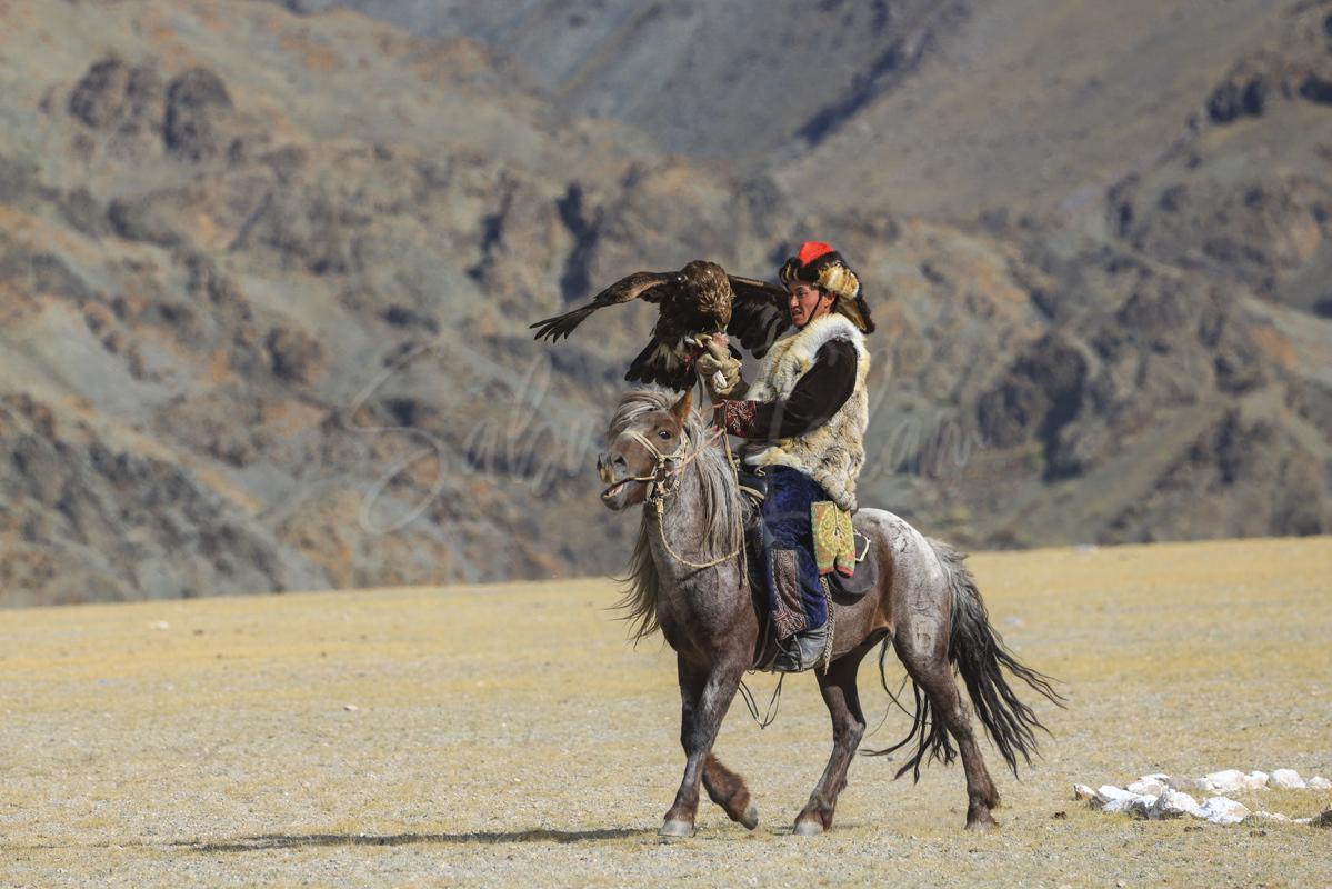 Golden Eagle festival. Sagsai village Horse rider. Bayan Ölgii - Altai Mountains, Mongolia
