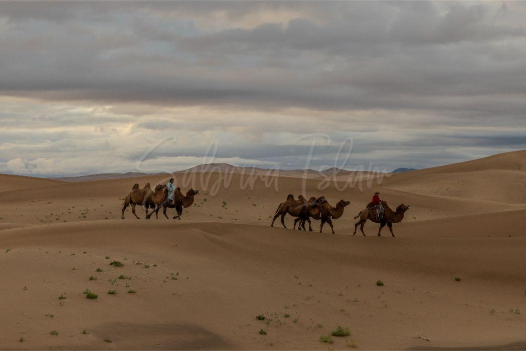 Golden Eagle Festival Riders | Sagsai Village Bayan-Ölgii, Mongolia