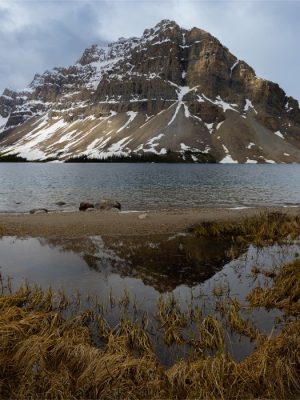 Bow Lake | Banff National Park Alberta, Canada