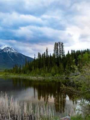 Vermilion Lakes | Banff National Park Alberta, Canada