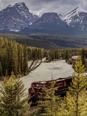Morant’s Curve Train | Banff National Park Alberta, Canada