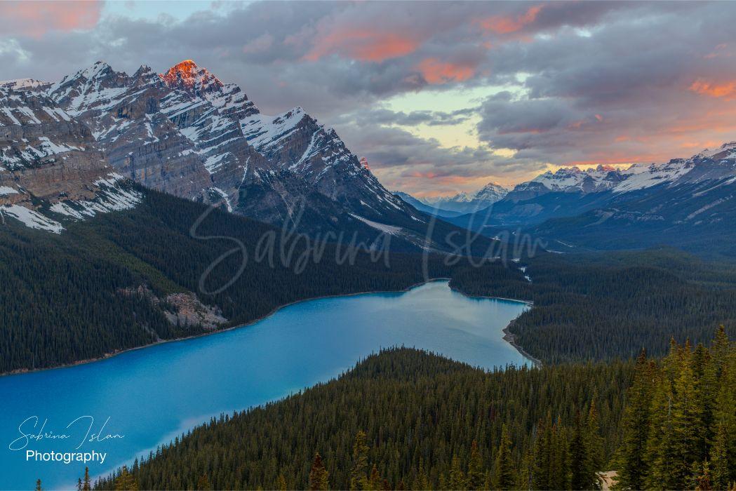 Morant’s Curve Train | Banff National Park Alberta, Canada