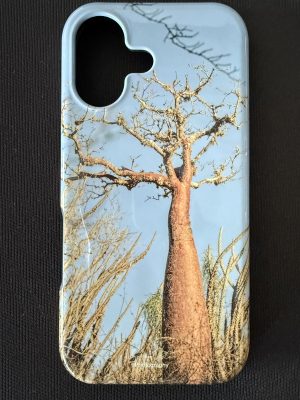iPhone 17 Cover (Double) - Baobab Sky